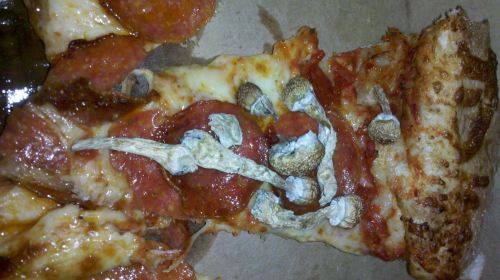 Resampled_2013-10-07_17-59-13_552